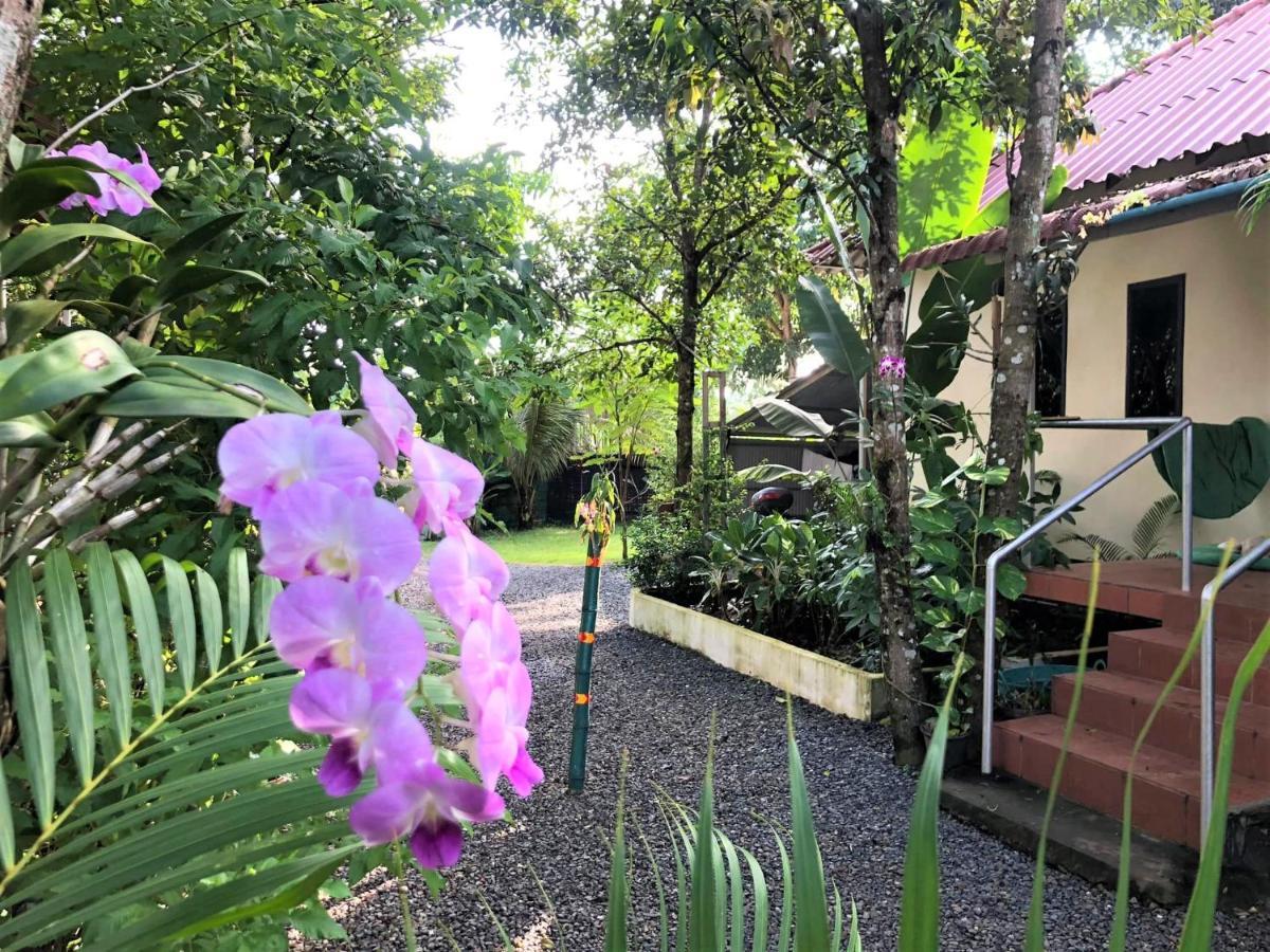 Green Mango Bungalows Kampot Exterior foto