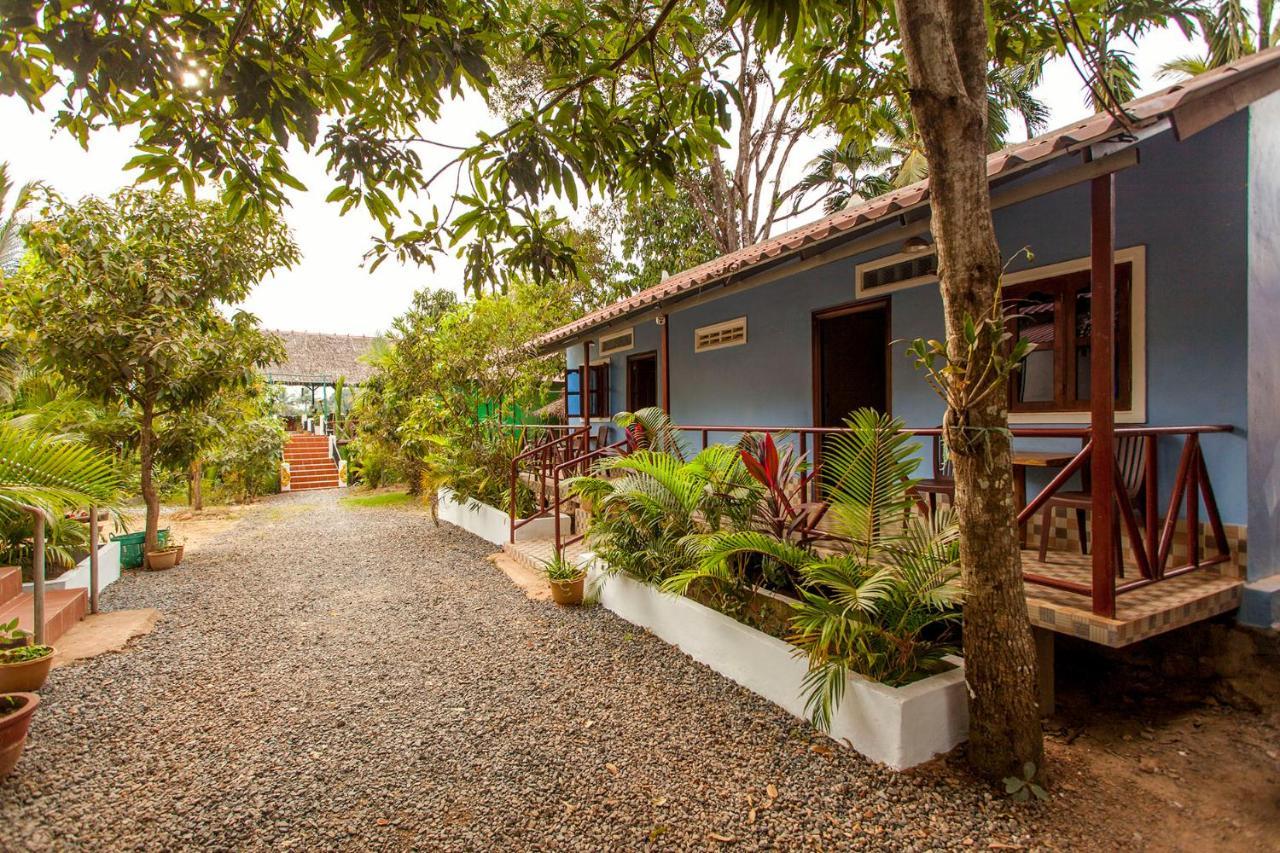 Green Mango Bungalows Kampot Exterior foto