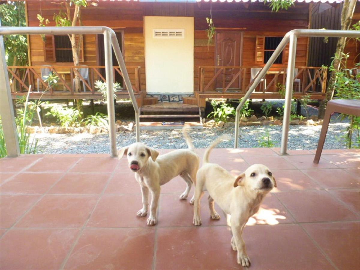 Green Mango Bungalows Kampot Exterior foto