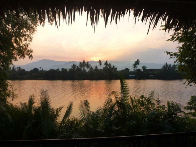 Green Mango Bungalows Kampot Exterior foto